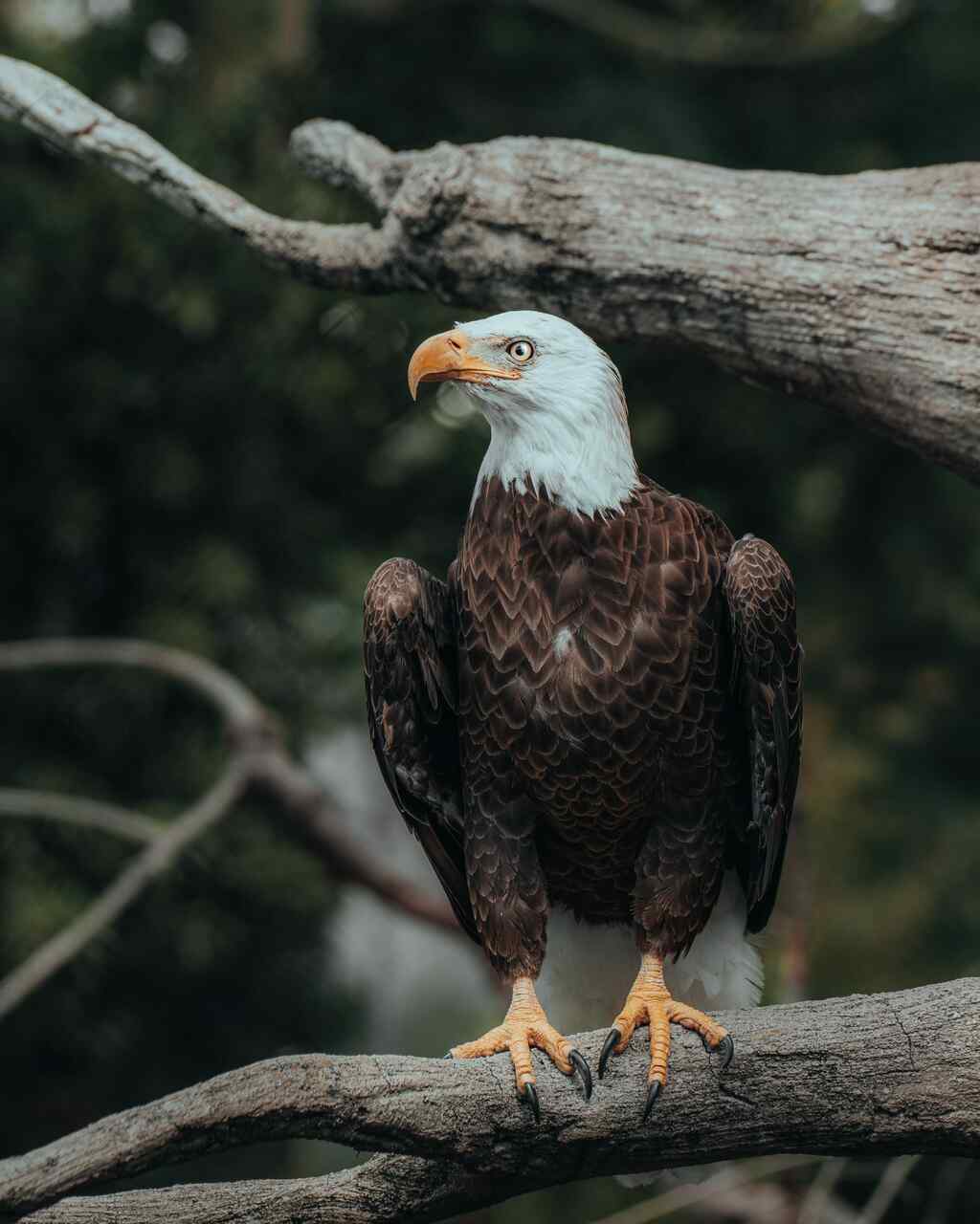 The Importance of Regular Property Inspections in Eagle Idaho