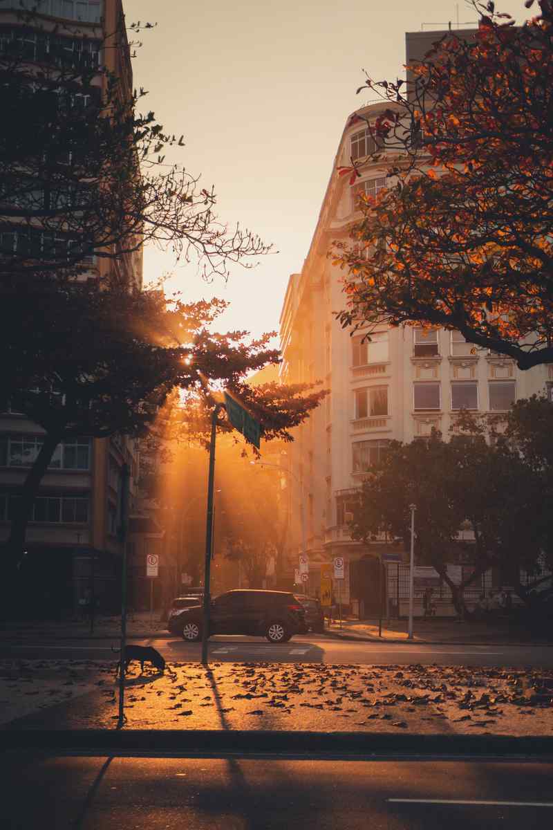 Building Bridges with Guests: A Collection of Airbnb Host Message Templates