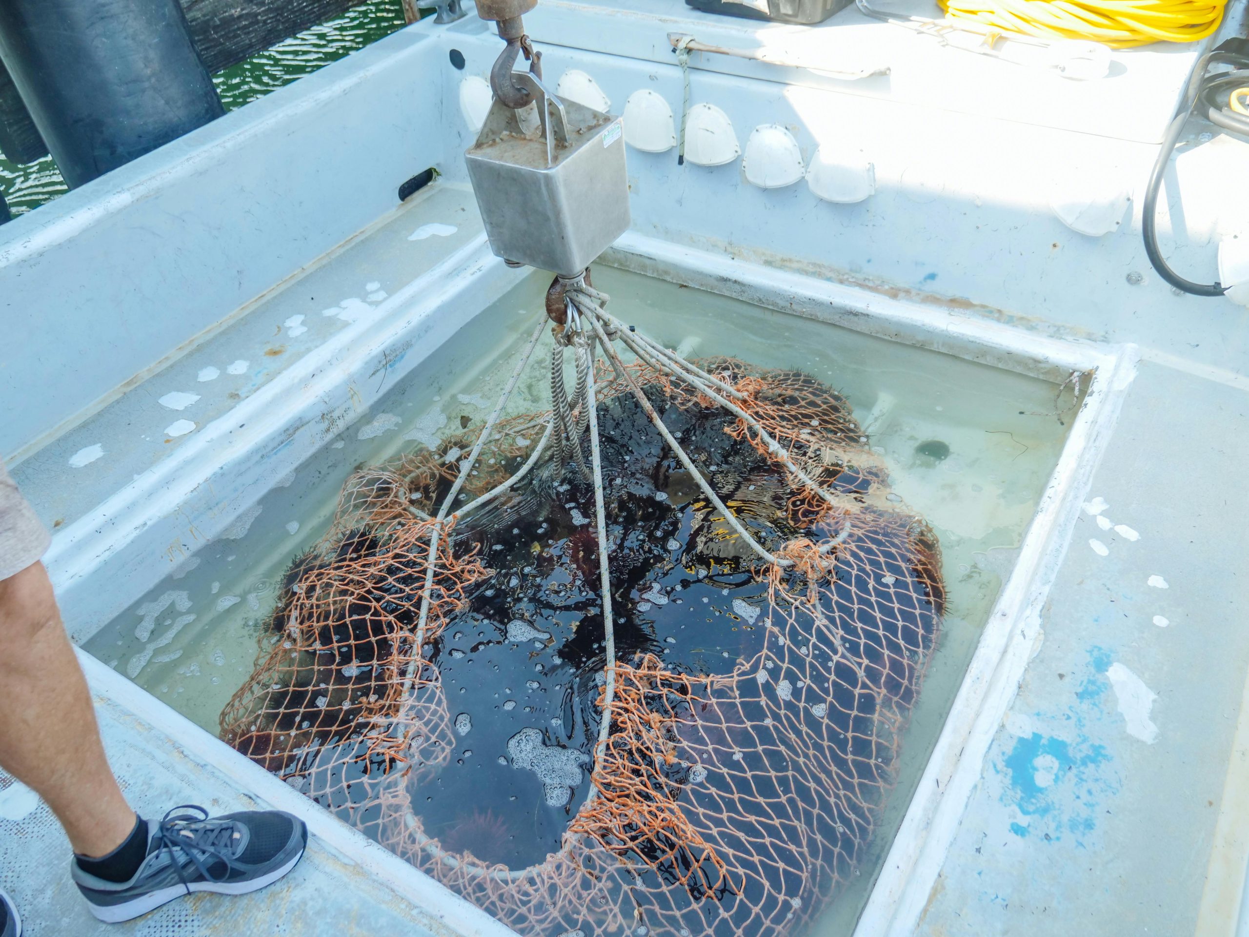 SB Cracks Down on Illegal Vacation Rentals