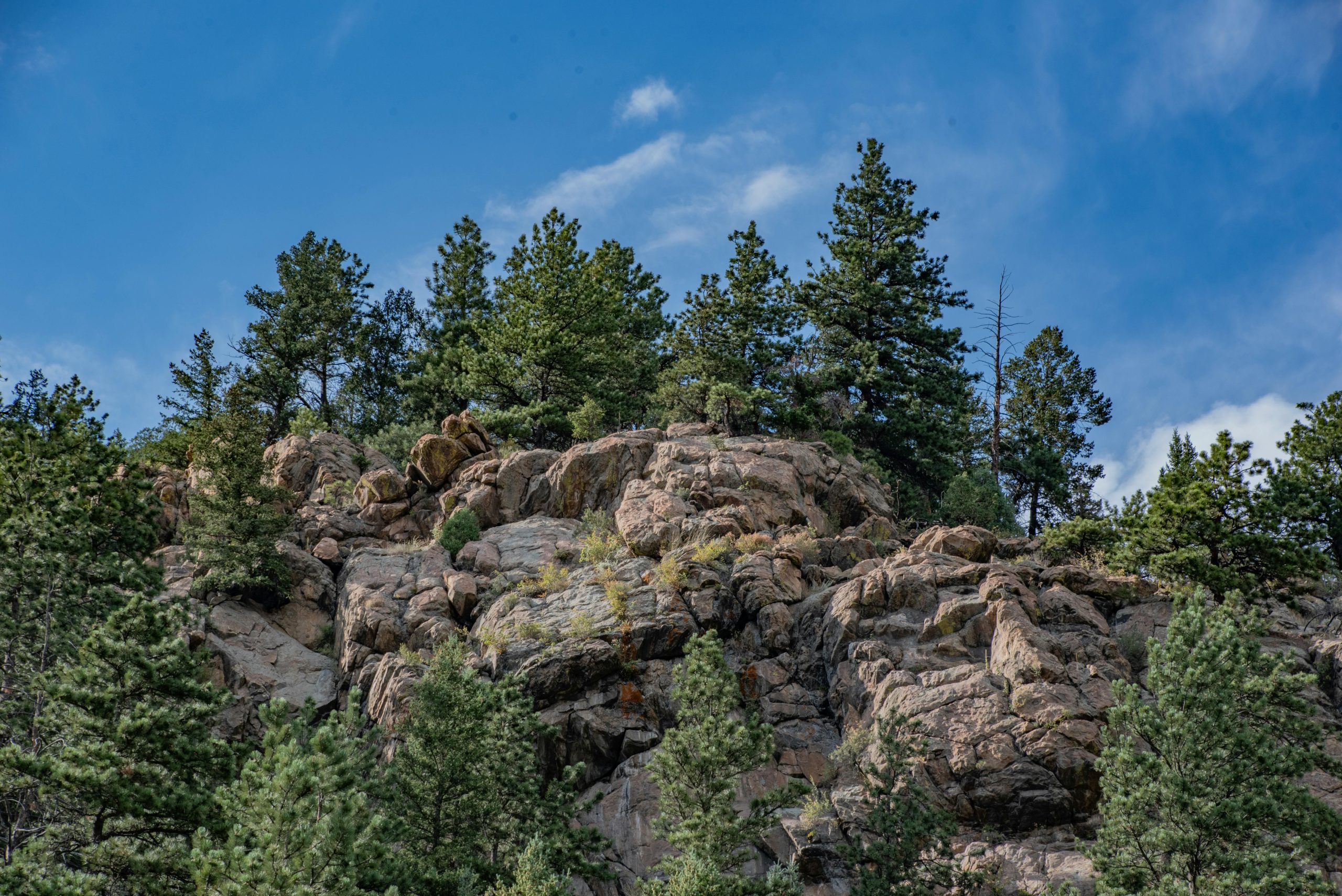 Ultimate Airbnb AI disruption resilience Guide – Exp…