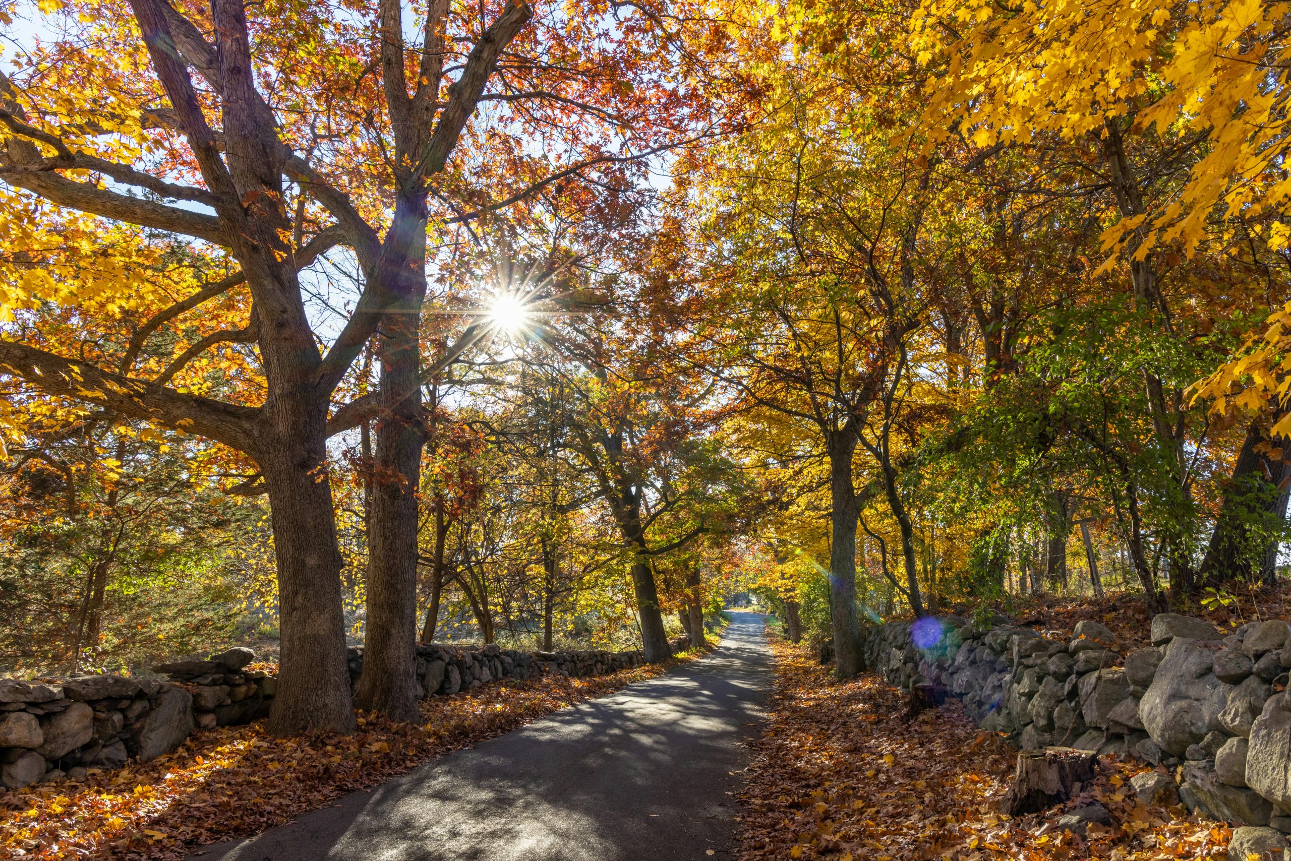 Ultimate Massachusetts VRBO fall foliage rental Guid…