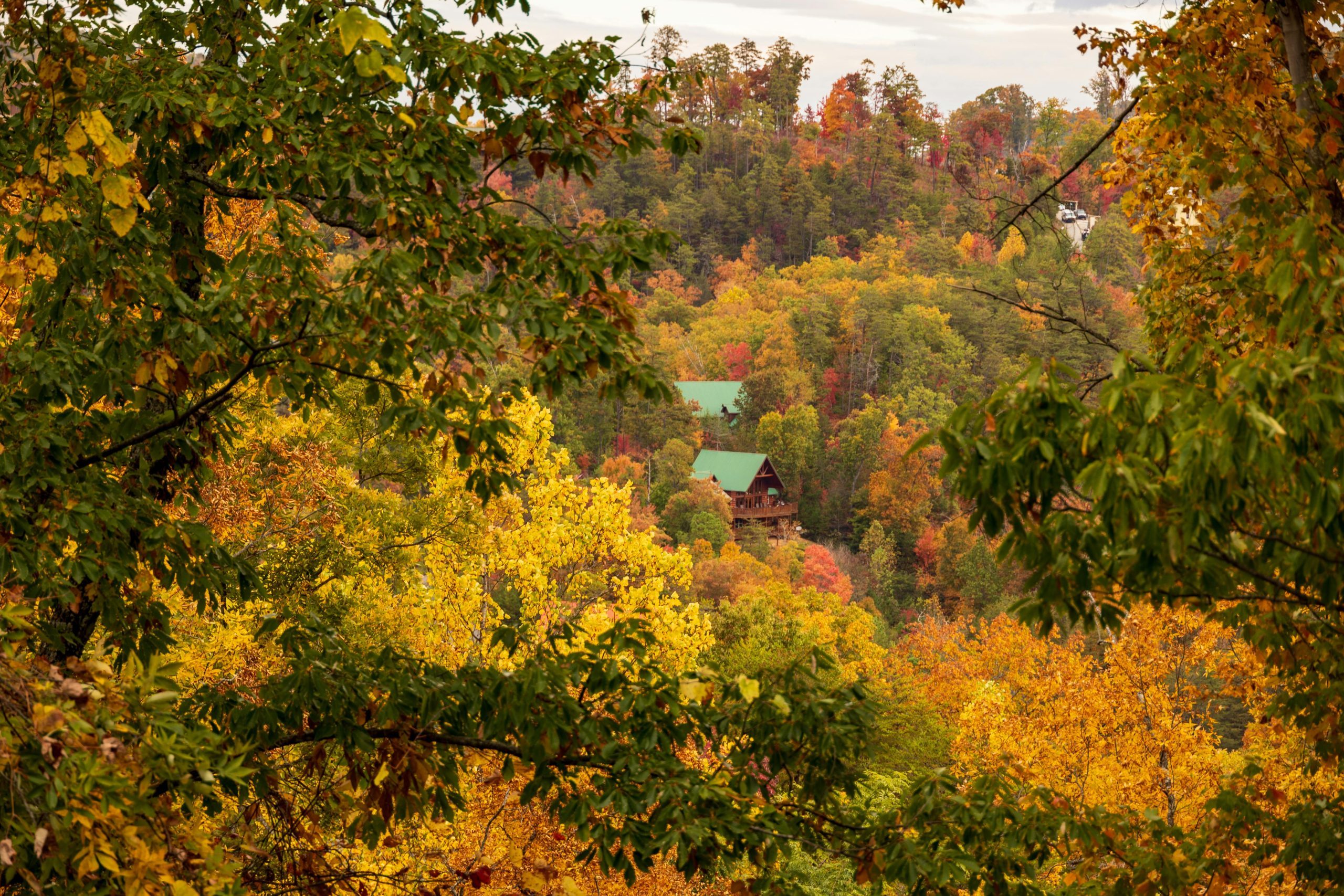 Ultimate cozy cabin rentals Tennessee fall Guide – E…