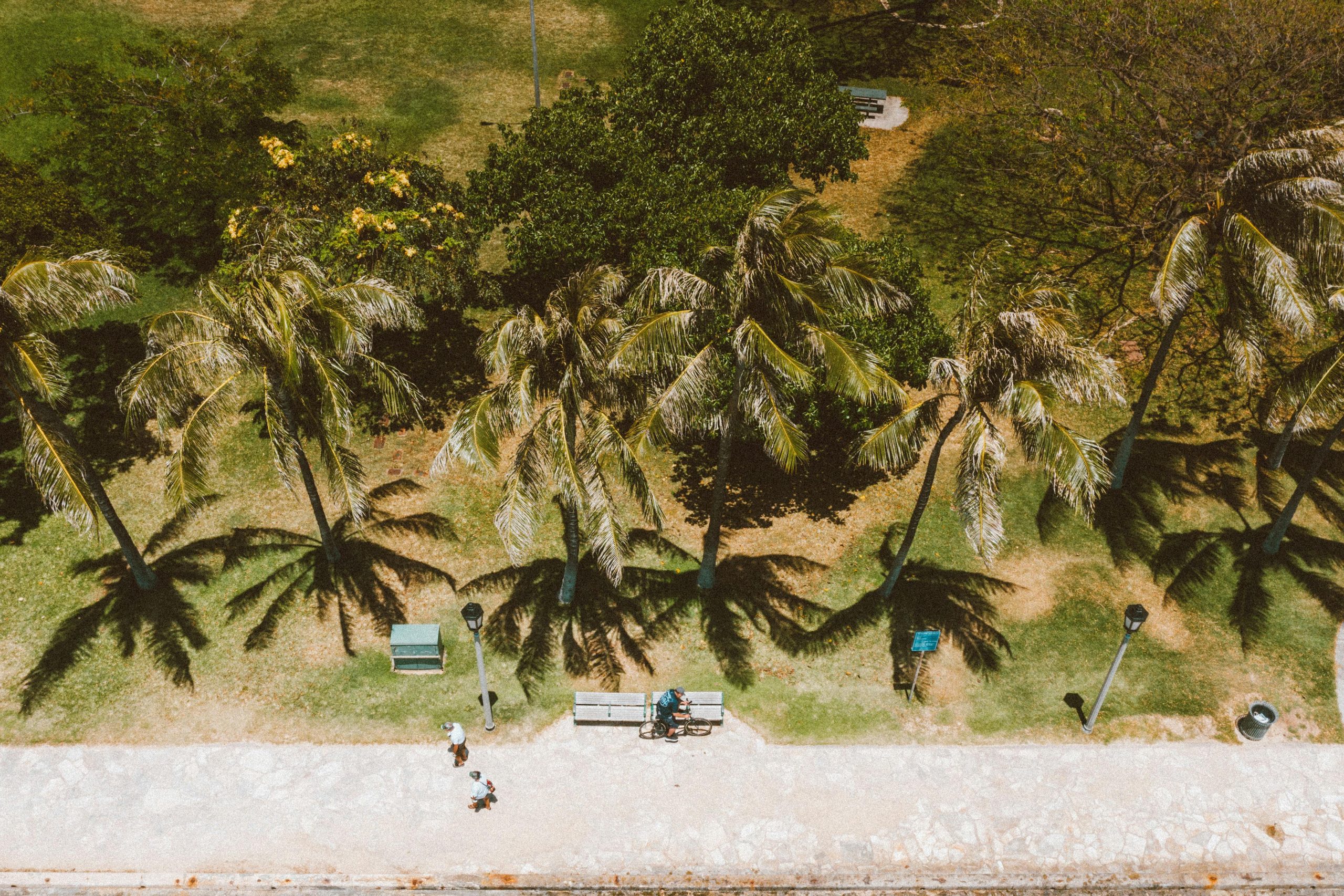 Cost of changing operator on Oahu vacation rental re…