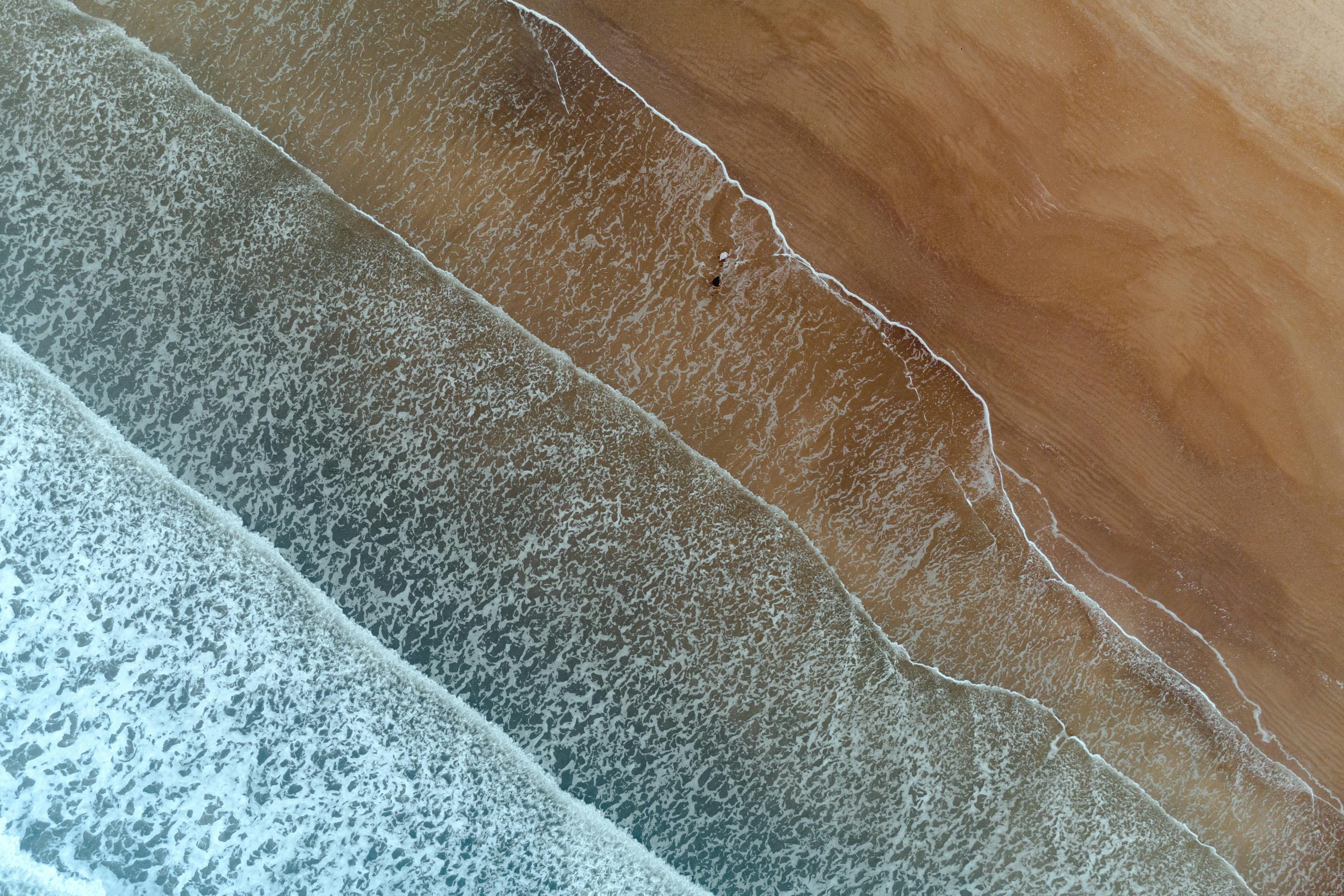 Ultimate Coastal Cowboy Airbnb Galveston Texas Guide…