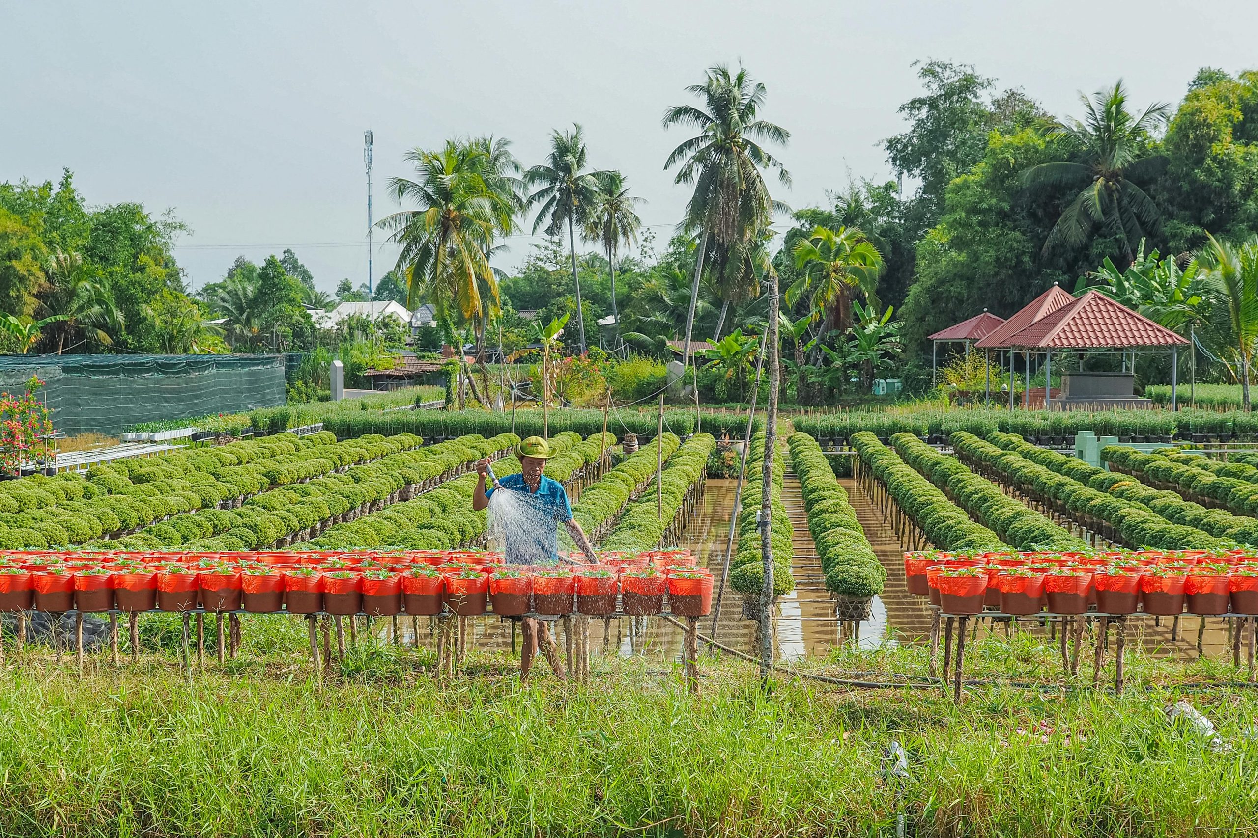 Vrbo occupancy rate trends 2025 – Everything You Nee…