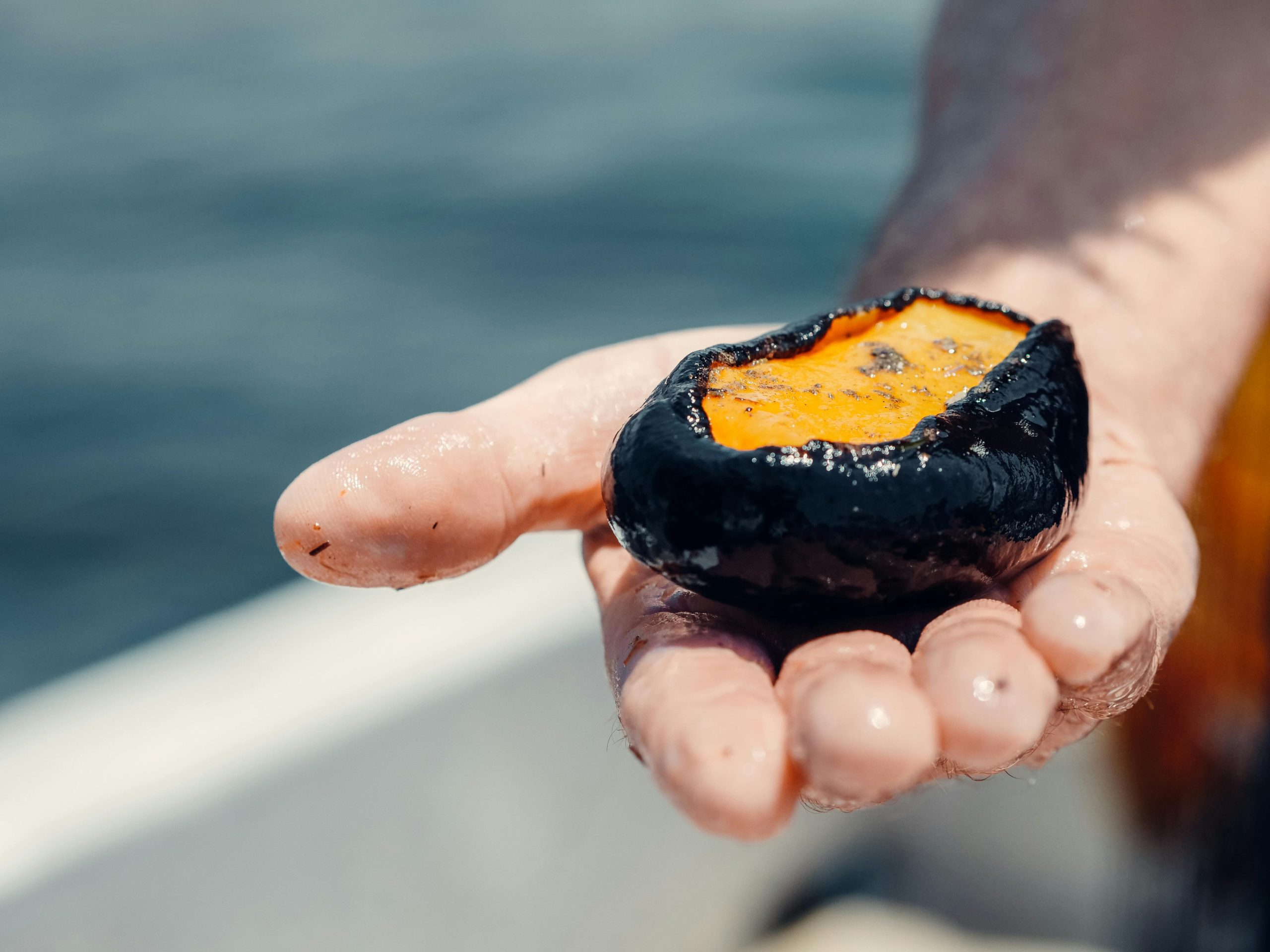 How to Master Airbnb for boats company merger detail…