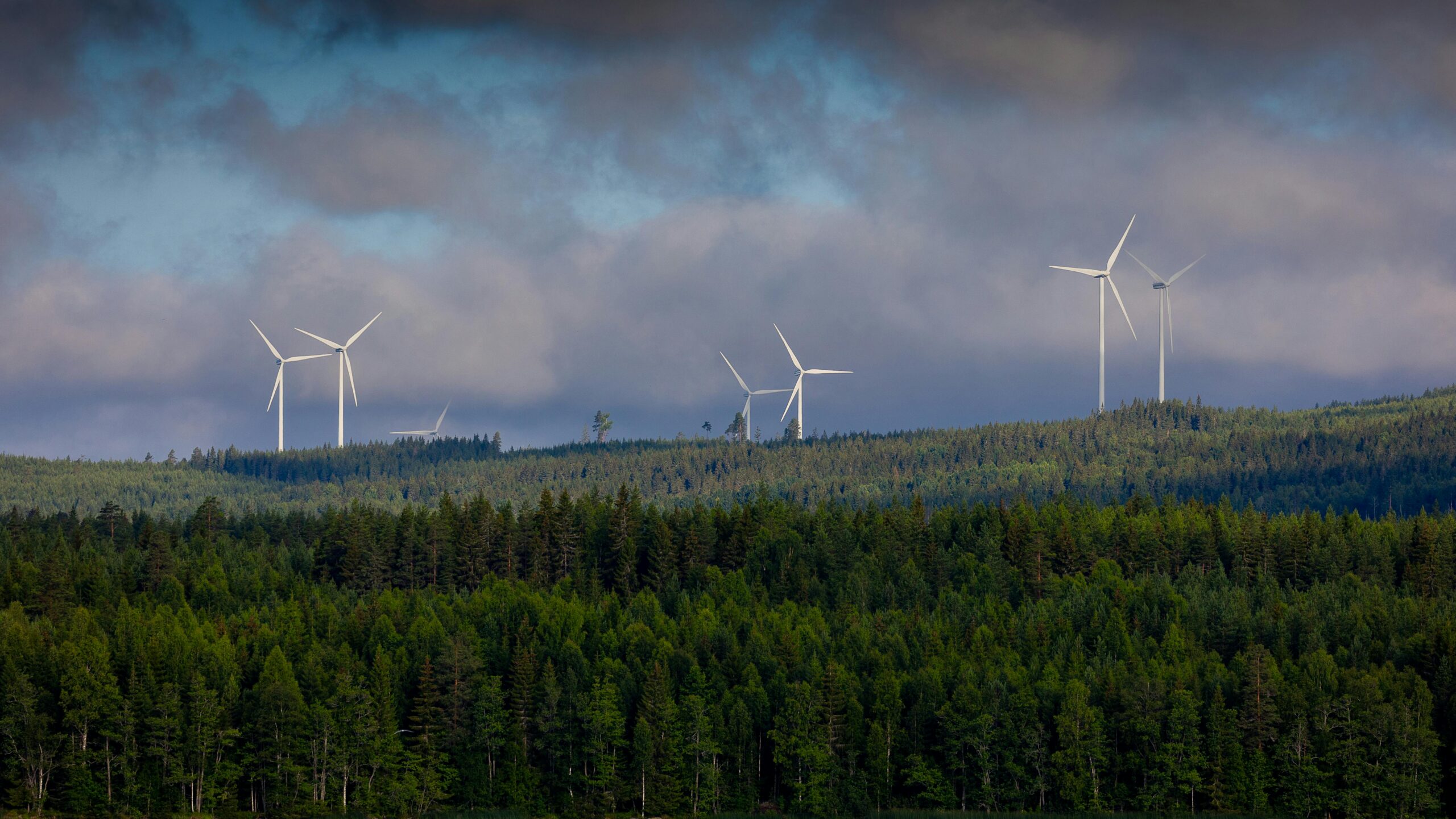 Sustainable lodging solutions next era – Everything …